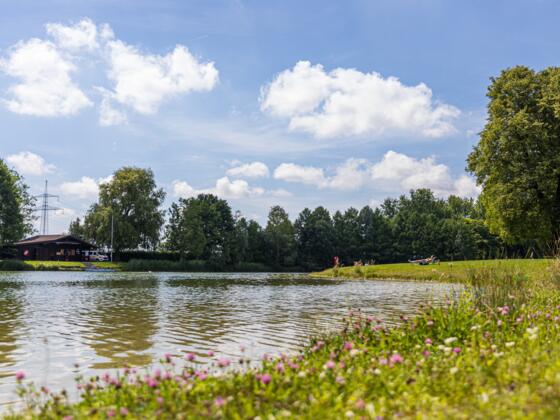 Blumiger Blick auf den Germeringer See