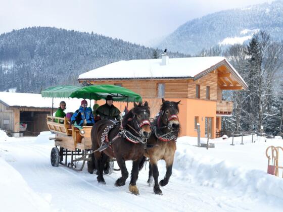 Pferdeschlittenfahrt Peter Hirscher