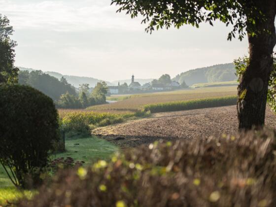 Auf der Feckinger Runde bei Saal a.d. Donau