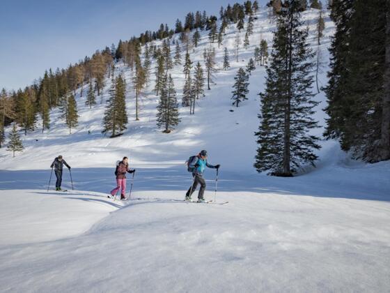 Aufstieg unterhalb des Burtschasattels