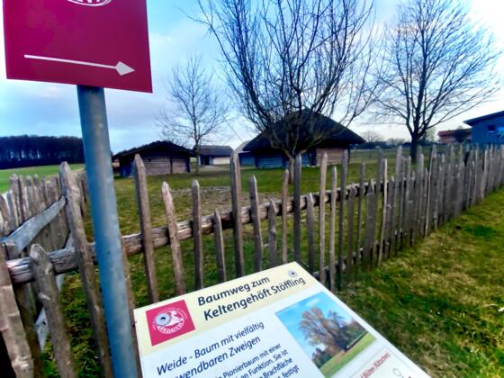 Baumweg