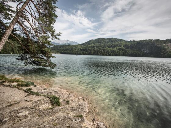 Fischen a, Hechtsee