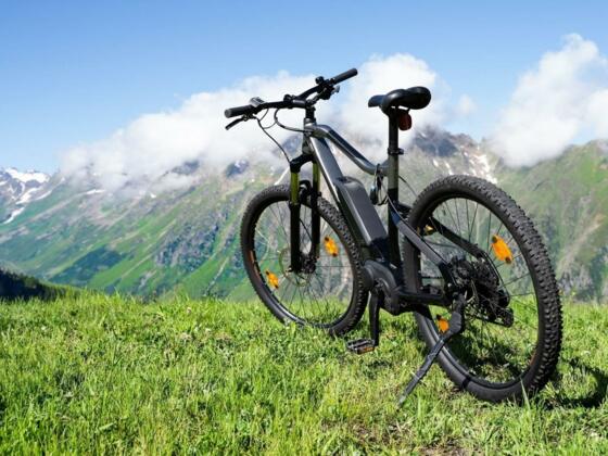 E-Bike Ladestation Alpengasthaus Obersee