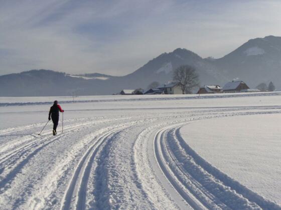 Langlaufen im Almtal