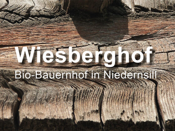 Wiesberghof Niedernsill
