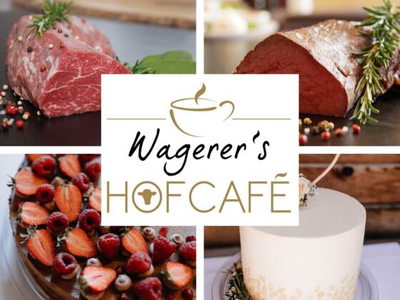 Picsart 22 10 20 09 21 33 677