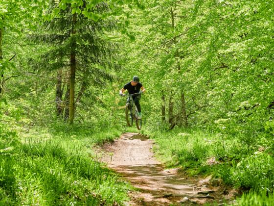 Flowtrail Kreuzberg