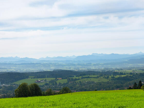 Aussicht vom Mariaberg