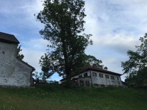 © Chiemsee-Alpenland Tourismus