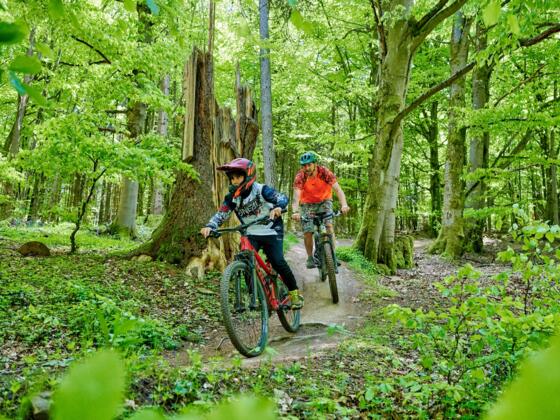 Downhill am Hang des Kreuzbergs