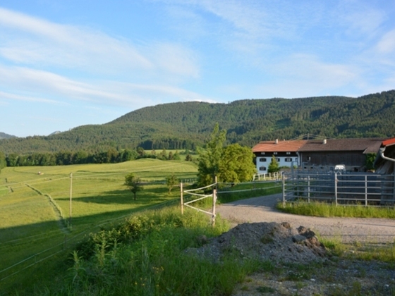 rossruck-tag-3-450
