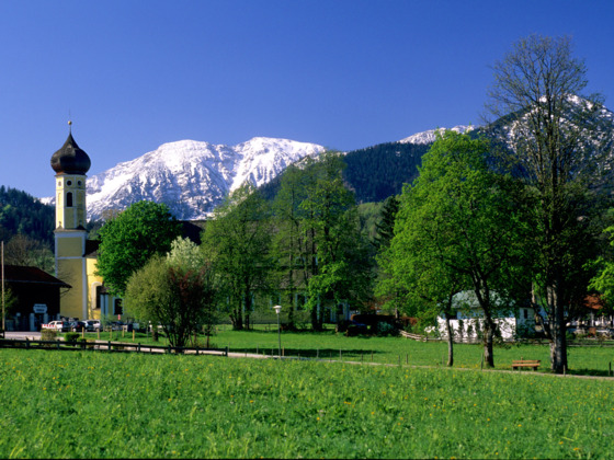 Klosterkirche St. Martin &quot;Martinsmünster&quot;