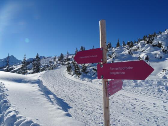 Beschilderter Winterwander-Rundweg "Riedboden" am Sonnenkopf