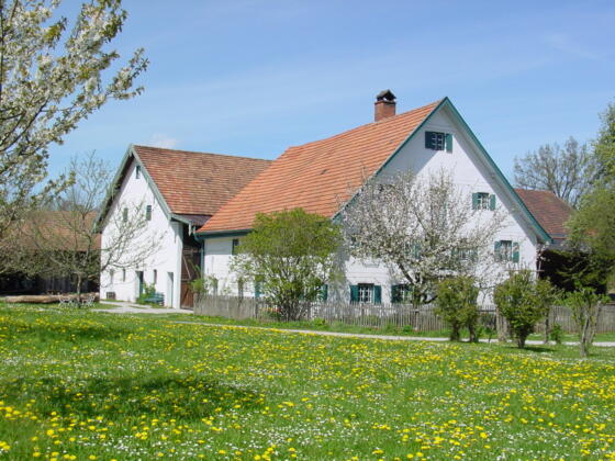 Jexhof im Frühling