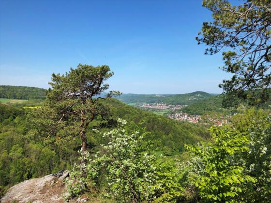Mühlkoppe mit Blick nach Pommelsbrunn