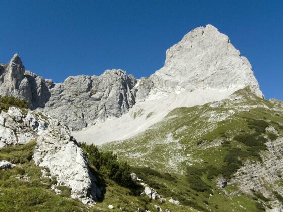 Die scharfgeschnittene Lamsenspitze