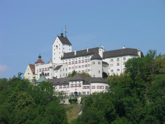 Das Schloss Hohenaschau.
