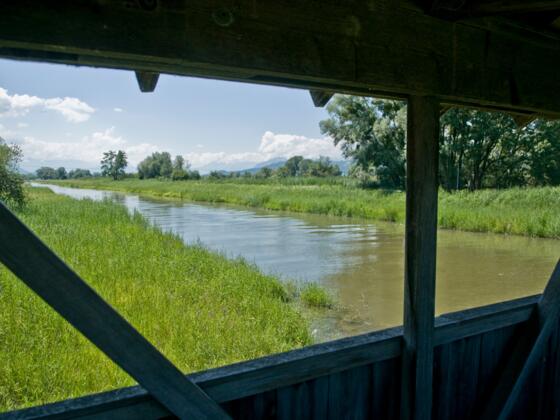 Im Naturschutzgebiet Rheindelta