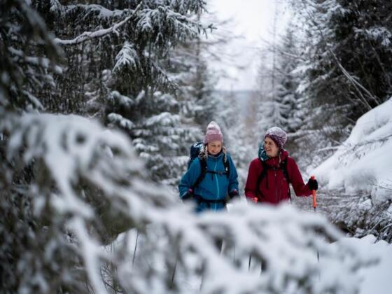Winterwandern Umhausen