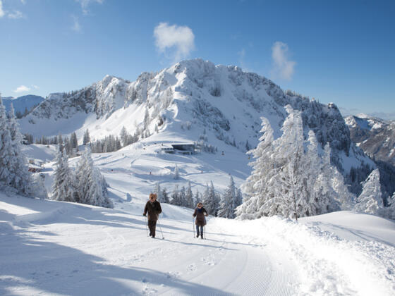 Winterwandern