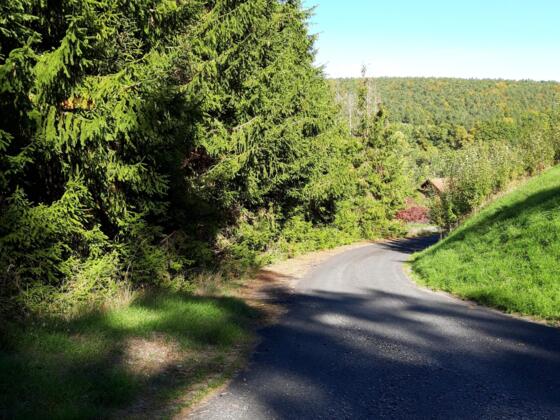 Rhönrundweg 10 Oberelsbach_Saueichenweg_1