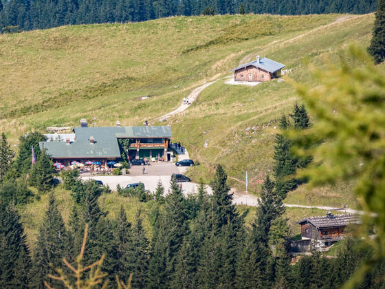 Der Ahornkaser