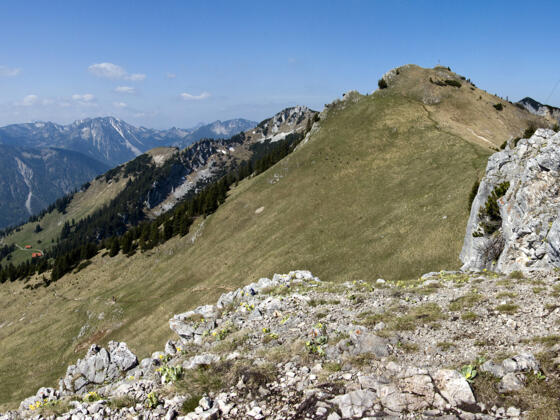 Gipfelblick von der Käserwand zum Wildalpjoch