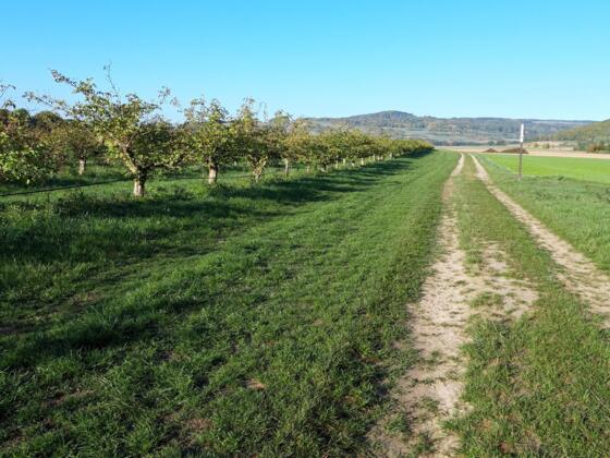 Rhönrundweg 1 Oberelsbach_Fünf Dörfer Tour_5