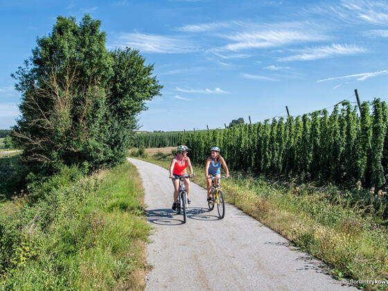 Auf dem Bockerlradweg zwischen Enzelhausen und Osterwaal