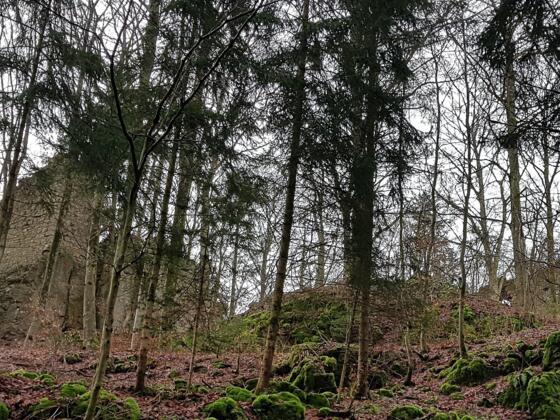 Ruine Poppberg