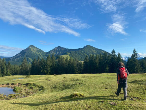 Feichtensteinalm mit Blick auf Gennerhorn, Gruberhorn und Regenspitz