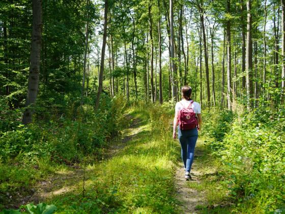 Person beim Wandern