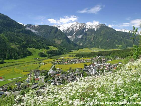 SOKO Wildkogel/ Hörspiel Locandy / eLiner