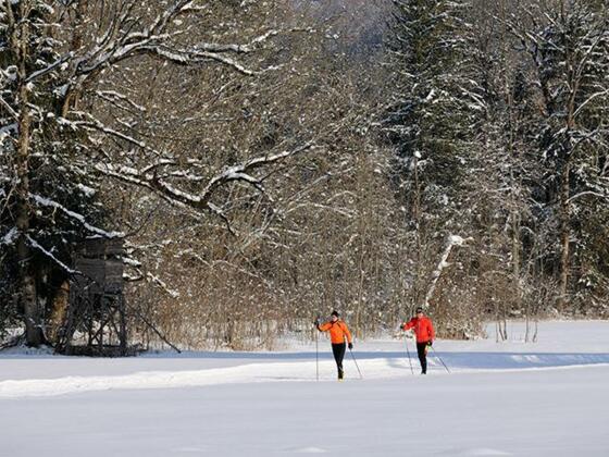 Langlauf in Füssen