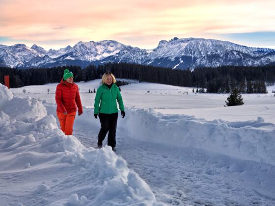 Winterwandern am Attlesee