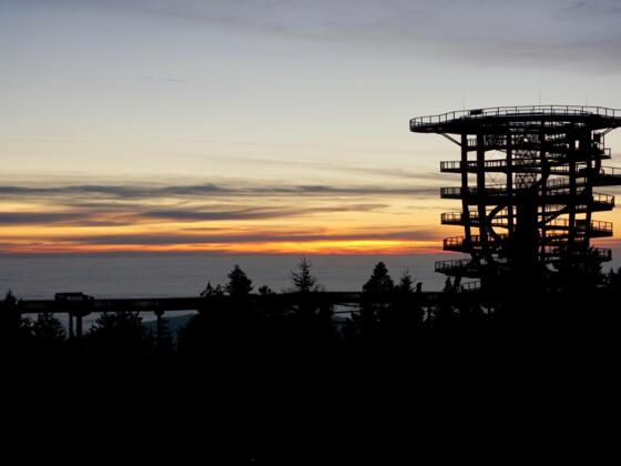 Waldturm