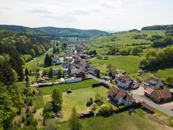 Eschau, OT Wildenstein
