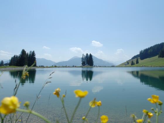 Filzalmsee