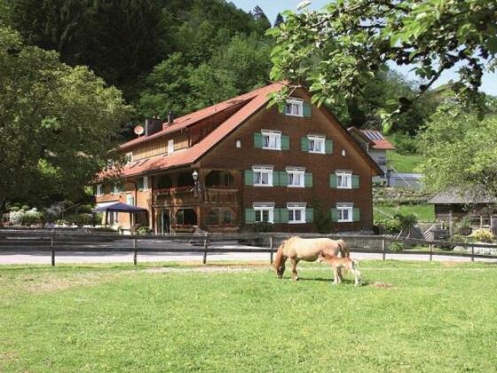 Hotel Gasthaus Schäfle Sommer