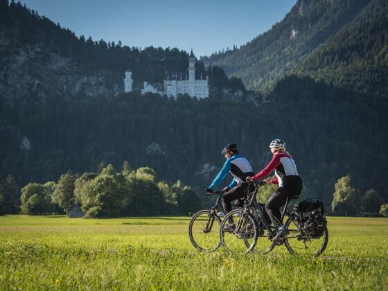 Blick auf Schloss Neuschwanstein