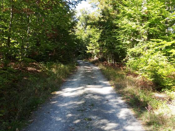 Rhönrundweg 9 Oberelsbach_Schmetterlingslehrpfad_2