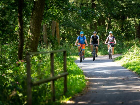Radtour auf vorwiegend asphaltierten Wegen um den Naturpark Steinwald