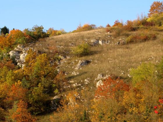 An den Südhängen liegen trockene, heiße Standorte.