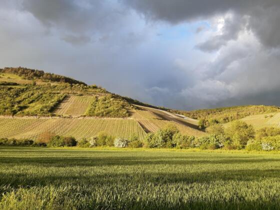 Blick auf den Benediktusfelsen