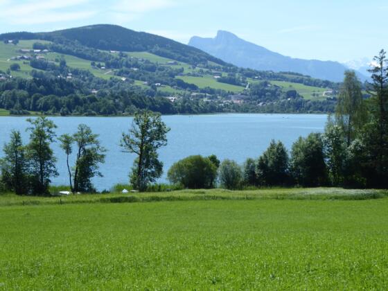 Der Irrsee
