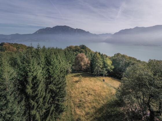Wanderweg im Wald in der Attersee-Attergau Region