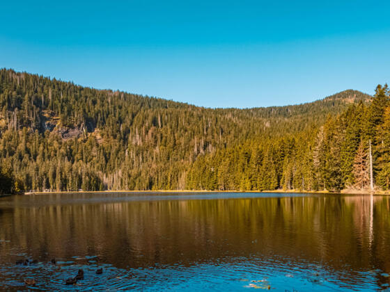 Arbersee