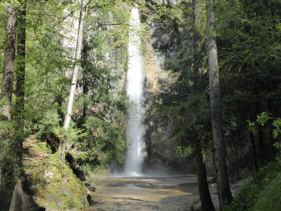 Wasserfall auf dem Wanderweg im Wald