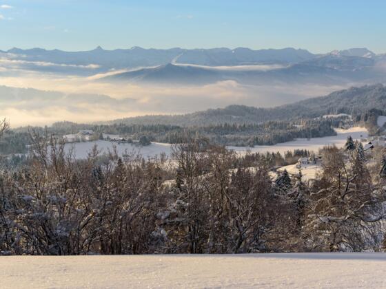 Winterlandschaft