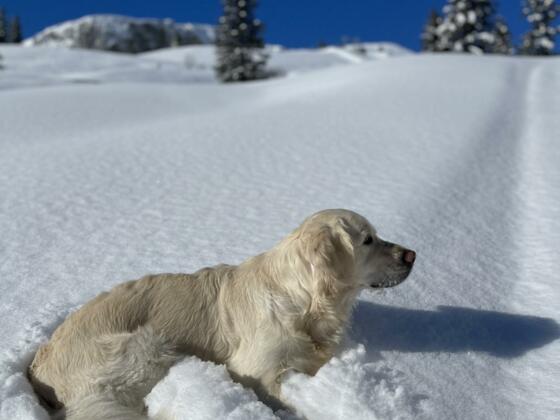 3371C159-330A-4D5E-9CC0-13AB7F93490B